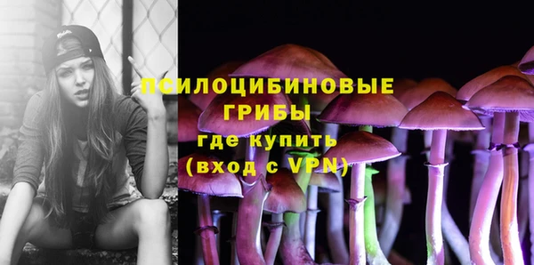 таблы Медногорск